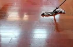 辦公區(qū)域保潔要注意哪些方面呢？