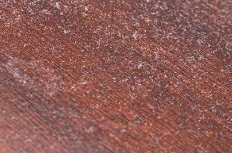 對于家里灰塵的清理，有什么方法嗎？